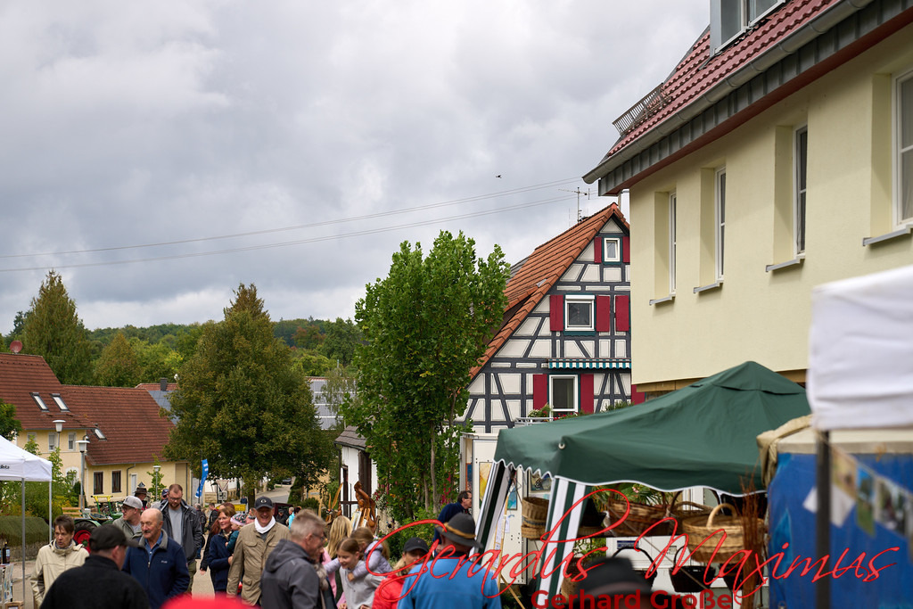 Schleierhof Hoffest 2022 286 | Chor für Alle | Biberach - Realisiert mit Pictrs.com