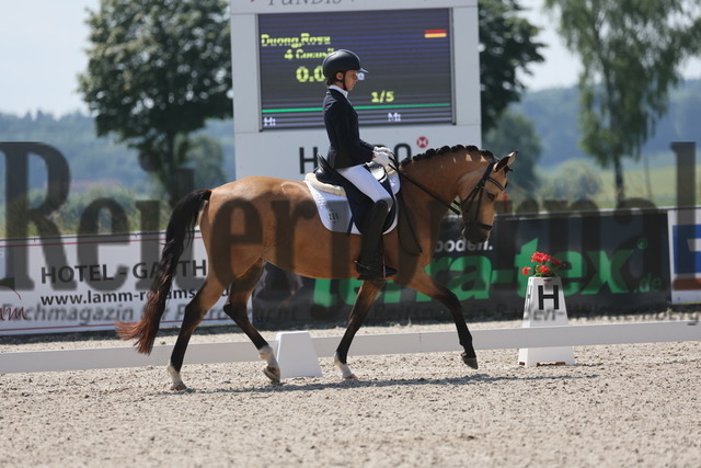 Rot am See_2024_Prfg.Nr.21_Qual.BCH_und_LCH_5-jähr.Ponys_Rosa Duong_Cocosita (1) | Alle Fotos der Reiterjournal Fotografin Doris Matthaes im Reiterjournal Online-Fotoshop. - Realisiert mit Pictrs.com