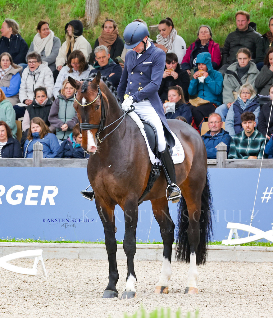 1B3A7535 | Reitsport Reiten
