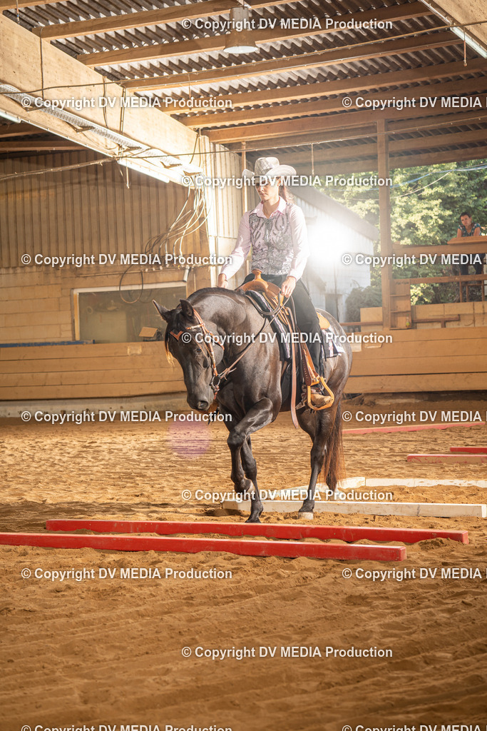 NID02630 | dv-media-shop - Realisiert mit Pictrs.com