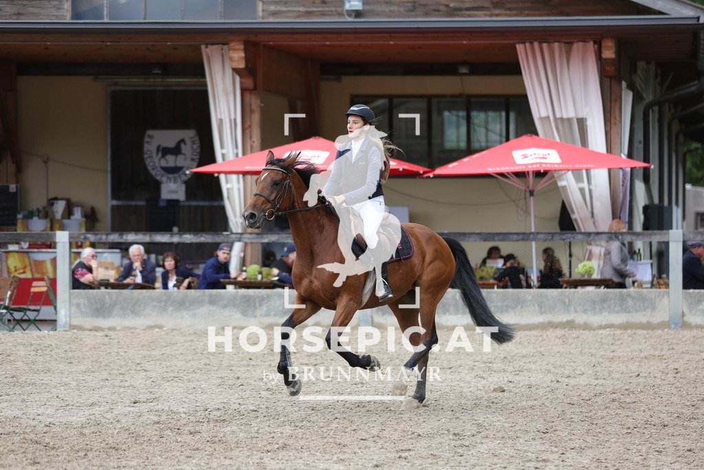 0P6A2627 | Willkommen bei Brunnmayr - Design & Fotografie – Ihrem Spezialisten für Reitturniere und Pferdeveranstaltungen in Oberösterreich, Salzburg und Bayern! Seit über 17 Jahren sind wir leidenschaftlich dabei.