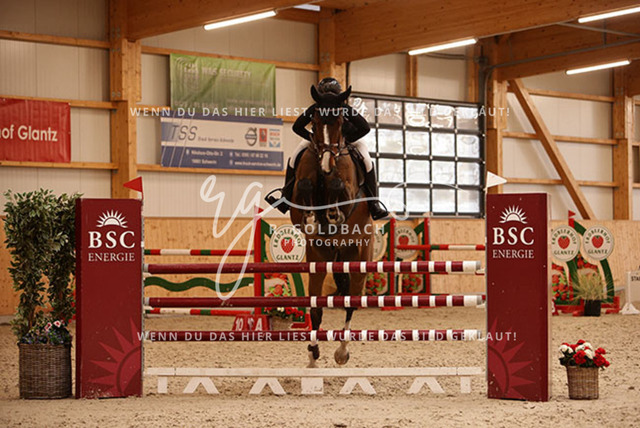 1J2A9412Jasmin Selke-John_ Clarimero M_ Kn145_ Glantz_ Hohen Wieschendorf | Foto- und Videografie für alles rund ums Pferd. Hochwertige Bilder und Videos vom Spring- und Dressurreiten, Voltigieren & mehr. Jetzt aktuelle Veranstaltungen und Preise im Shop ansehen. - Realisiert mit Pictrs.com