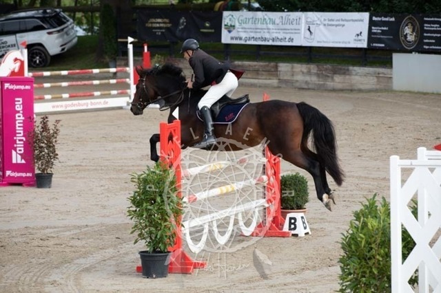 2B4A2087 | pixelfaenger - Realisiert mit Pictrs.com