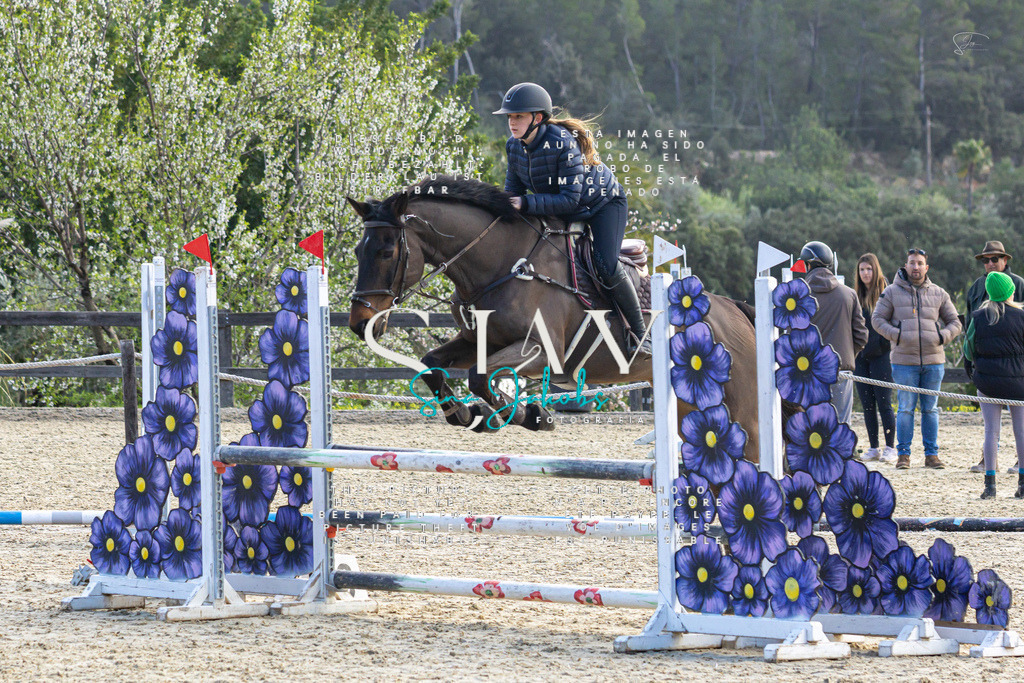 IMG_5082 | s-jay-photography - Realisiert mit Pictrs.com