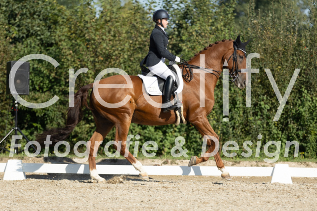 IMG_0616 | Creatify Fotografie