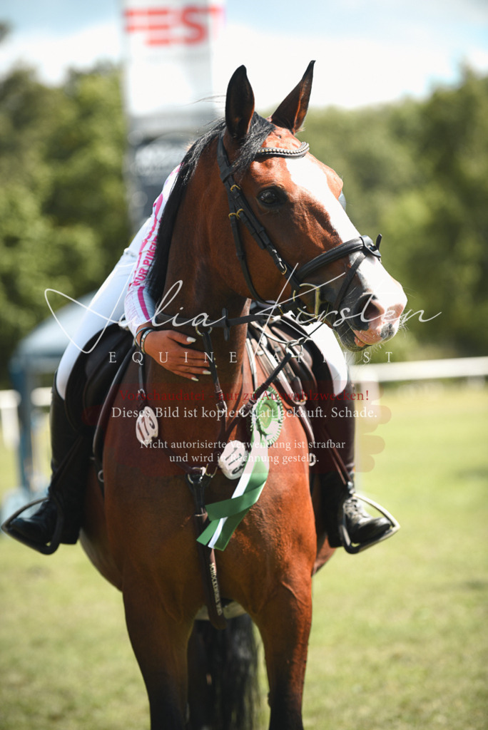 DSC_6835 | Pferde- und Turnierfotografie in Westsachsen. Pferdeportraits, Auftragszeichnungen und intuitive Kunst.