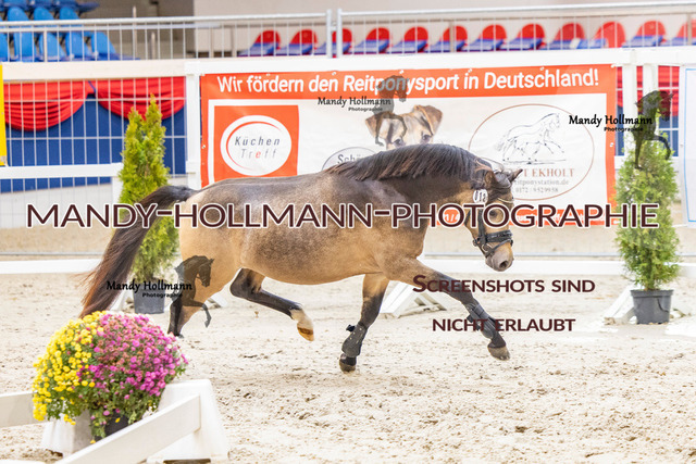 KWERR (253 von 475) | mandyhollmannphotographie