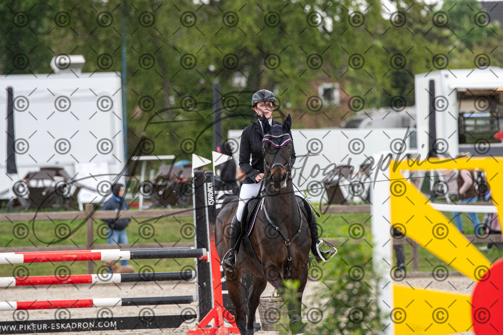 KPT_7625 | andre_photographic