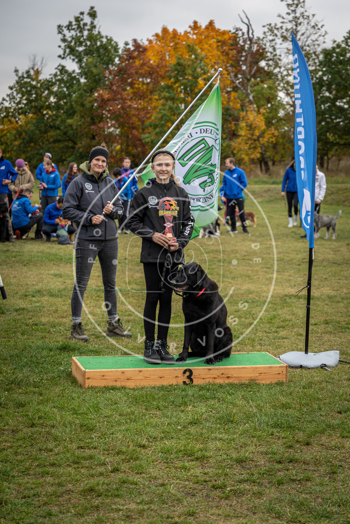 Pfotenfotografie_0L8A0420 | Hundefotografie, Tierfotograf, Pfotenfotografie, Fotoshooting Hund, Hunde Portrait, Hundesport, Hundeportraits, Heideshooting, Hunde, Sportfotograf, Hundefotograf, Turnierhundsport, THS,  - Realisiert mit Pictrs.com