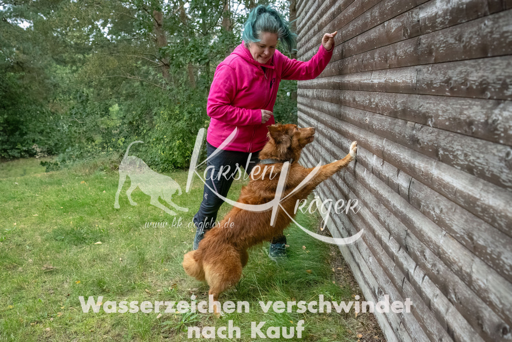 1456_ZZ93956-2-Bearbeitet | kk-dogfotos