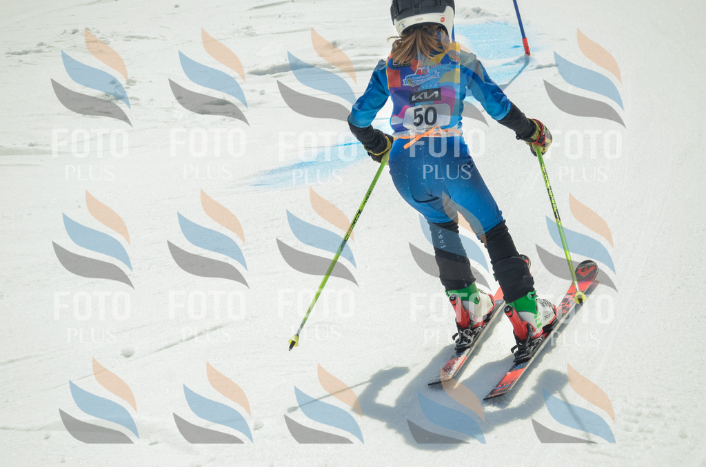 _ELE5189 | holidayphoto