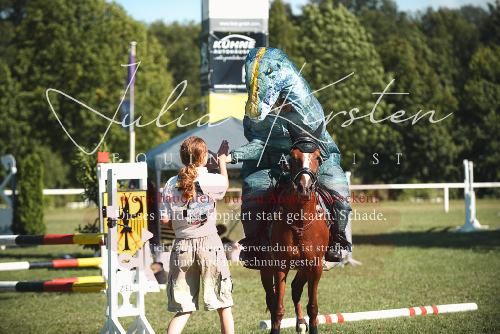 DSC_7664 | Pferde- und Turnierfotografie in Westsachsen. Pferdeportraits, Auftragszeichnungen und intuitive Kunst.