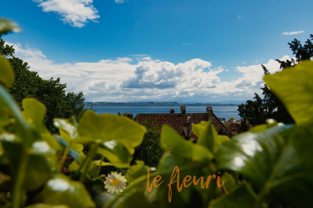 DSC_0015-NEF_DxO_DeepPRIME (1) | Dies ist der Shop von Florian Blum - le fleuri. Langenthal, Bern, SchweizSie können hier meine oder ihre eigenen Fotos als Fotoprodukte kaufen. Tassen, Schlüsselanhänger, Taschen etc. können Sie hier gestalten.  - Realisiert mit Pictrs.com