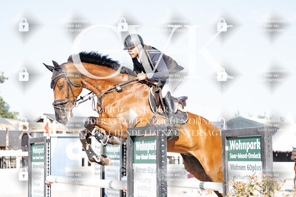 CK904190 | Turnierfotografie Pferdefotografie Trier Rheinland-Pfalz Pferdesport Reitsport Tierfotografie Sportfotografie Pferdevideo Pferdevideografie Equestrianvideography equestrianphotography  - Realisiert mit Pictrs.com