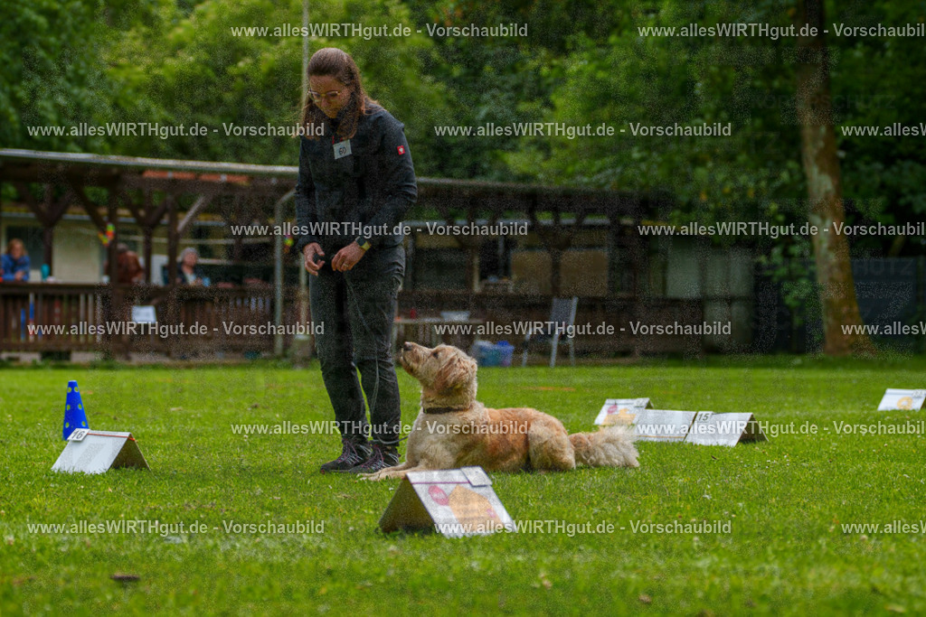 @allesWIRTHgut_Tierfotografie - www.allesWIRTHgut.de - 7R501622 | Professionelle Tierfotografie in Mönchengladbach von Daniel Wirth (allesWIRTHgut). Liebevolle & natürliche Bilder von Hunden & Katzen für unvergessliche Erinnerungen.