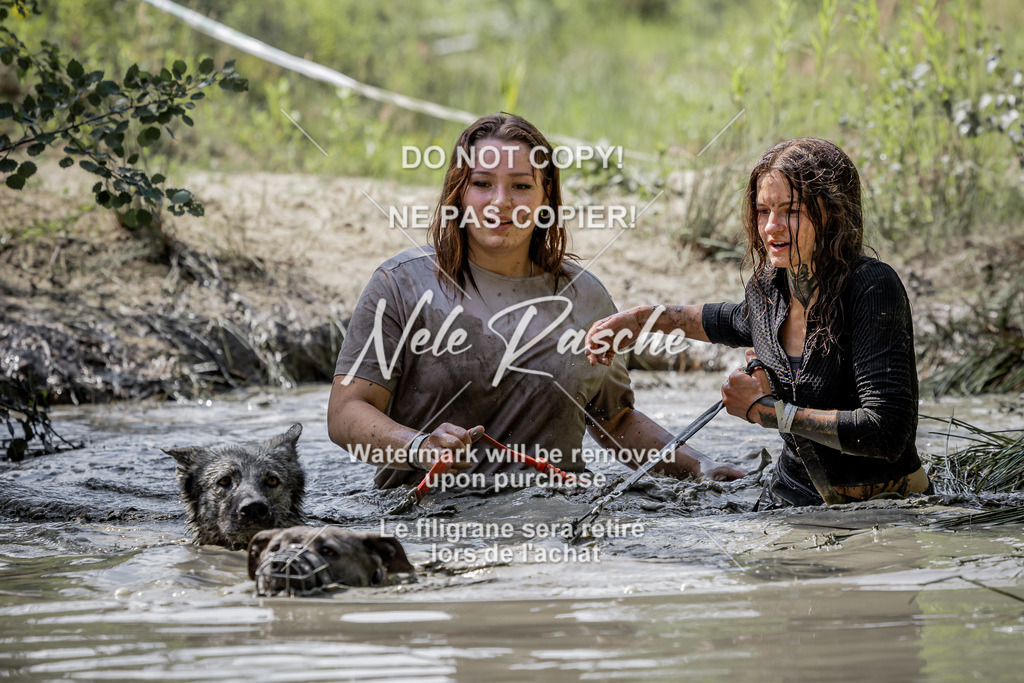 nelerasche_so1030-1100_316 | nelerasche