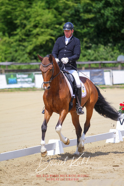 DKP46022 | Turniersportfotografie; Pferdefotografie; Dressurfotografie