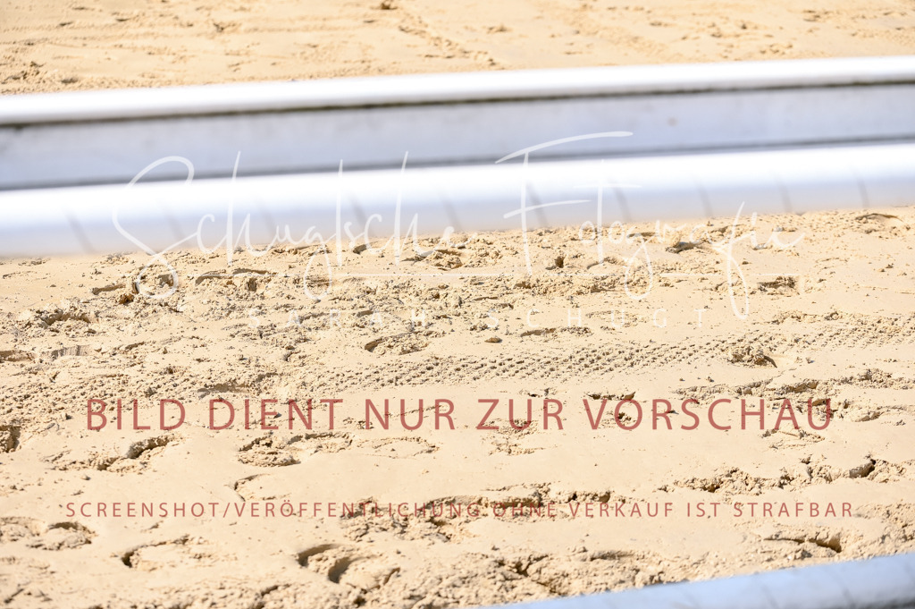Schugtsche-Aluta25-58. Dressurprf.S1Kand.St.GeorgSpecial-287 | Schugtsche Fotografie - Realisiert mit Pictrs.com