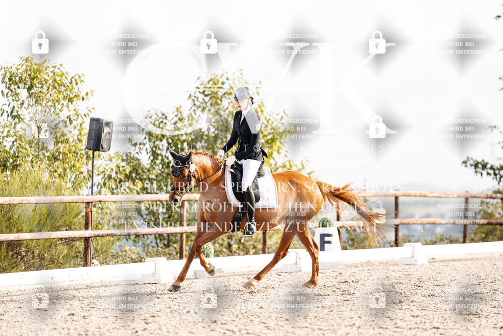 CK901105 | Turnierfotografie Pferdefotografie Trier Rheinland-Pfalz Pferdesport Reitsport Tierfotografie Sportfotografie Pferdevideo Pferdevideografie Equestrianvideography equestrianphotography  - Realisiert mit Pictrs.com