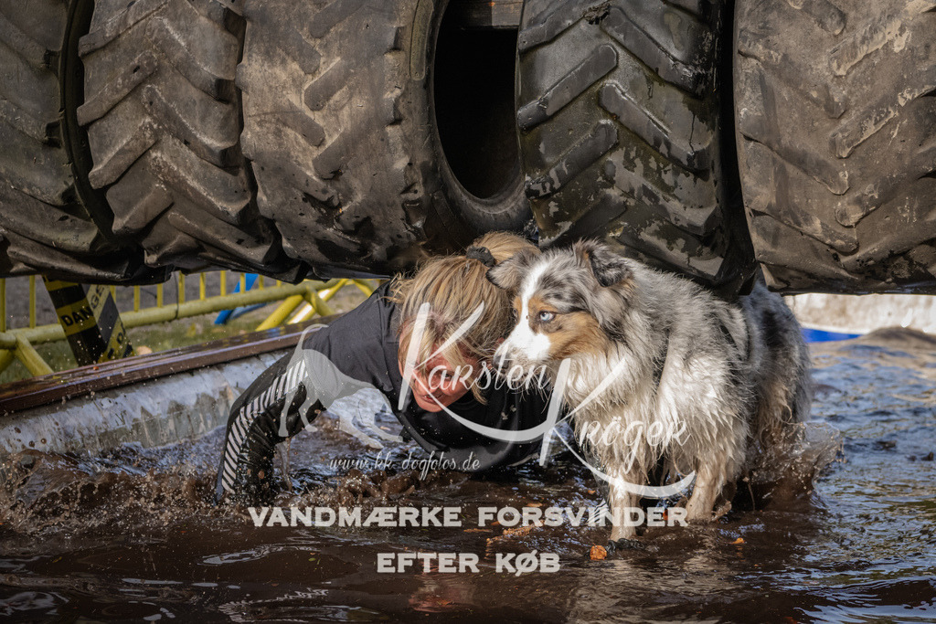 1417_ZZ94259 | kk-dogfotos