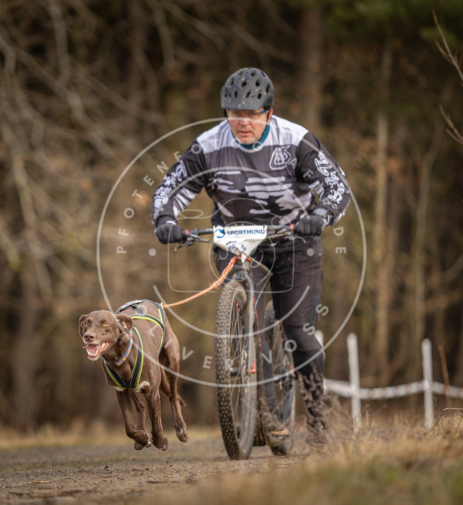 DV3A3449 | Hundefotografie, Tierfotograf, Pfotenfotografie, Fotoshooting Hund, Hunde Portrait, Hundesport, Hundeportraits, Heideshooting, Hunde, Sportfotograf, Hundefotograf, Turnierhundsport, THS,  - Realisiert mit Pictrs.com