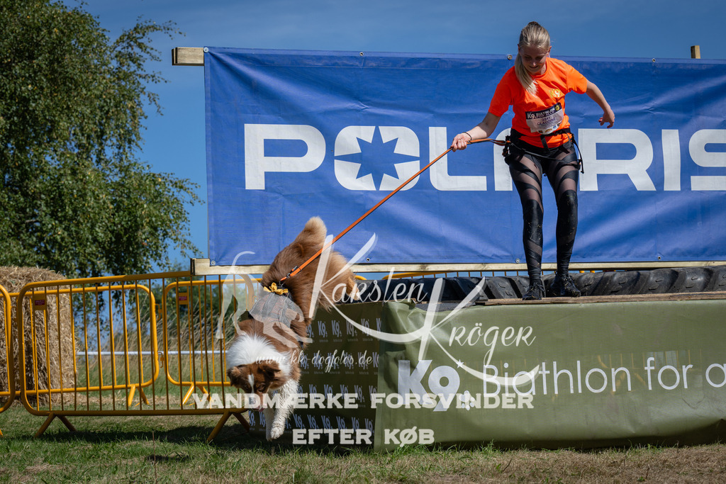1159_ZZ93205 | kk-dogfotos