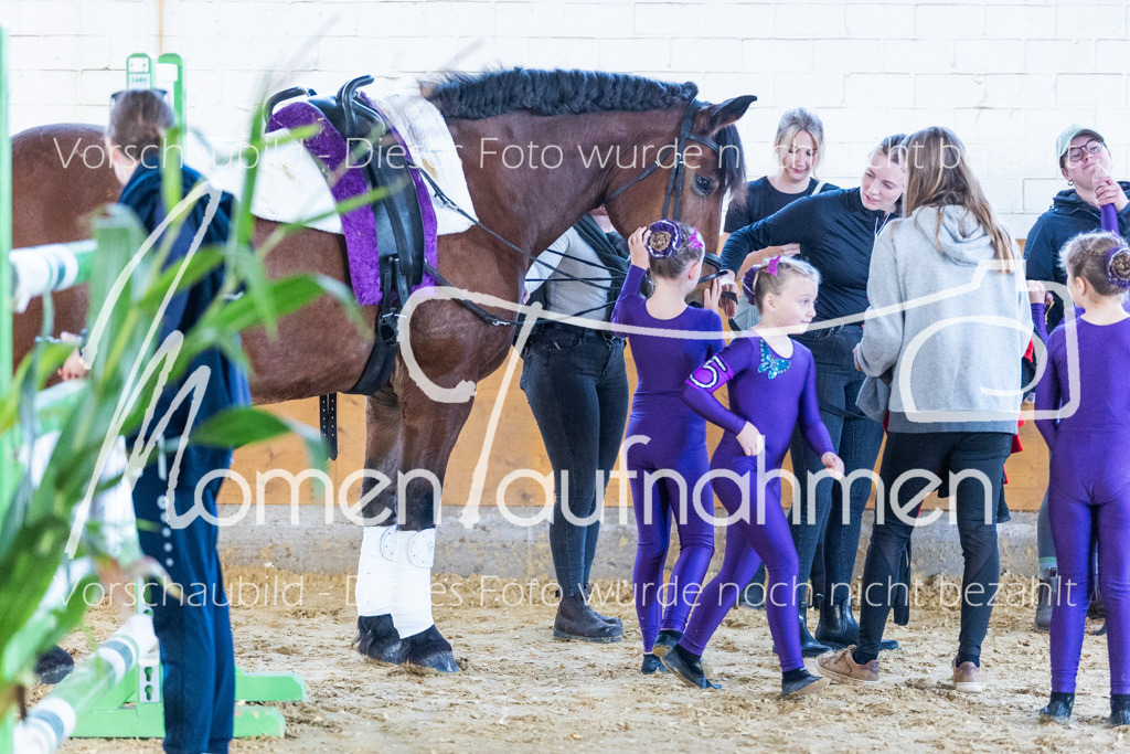 SS-Mini-269 | MomenTaufnahmen Pferdesportfotos