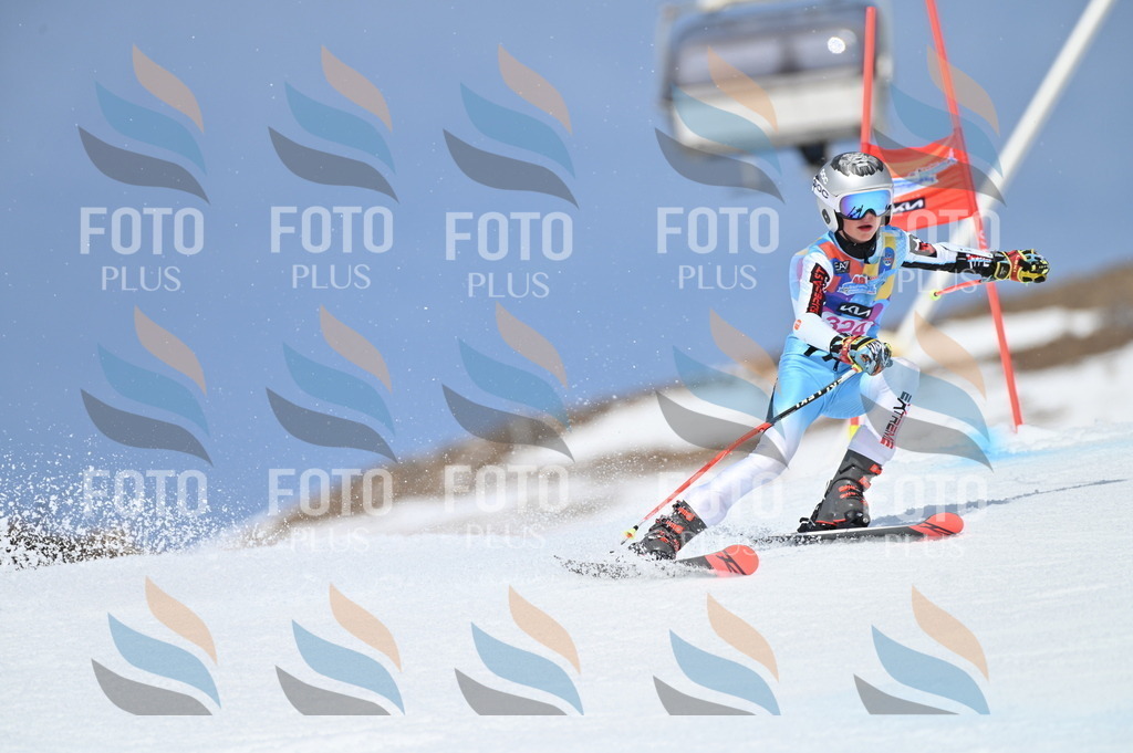 BGV_3168 | holidayphoto