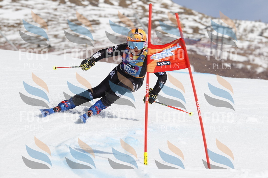 _U3G1833 | holidayphoto