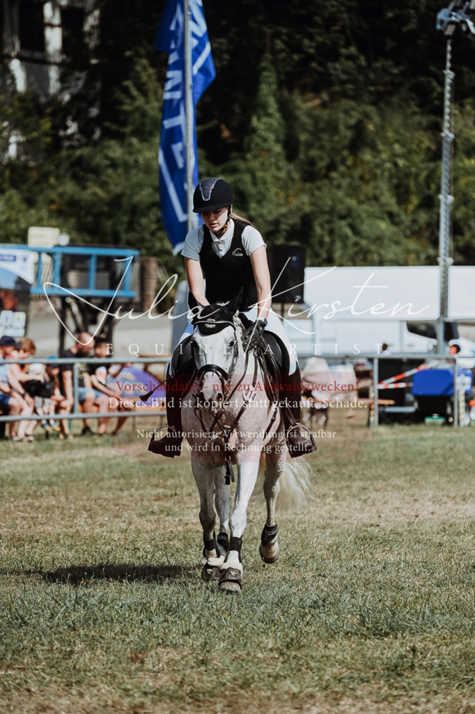 DSC_9451 | Pferde- und Turnierfotografie in Westsachsen. Pferdeportraits, Auftragszeichnungen und intuitive Kunst.