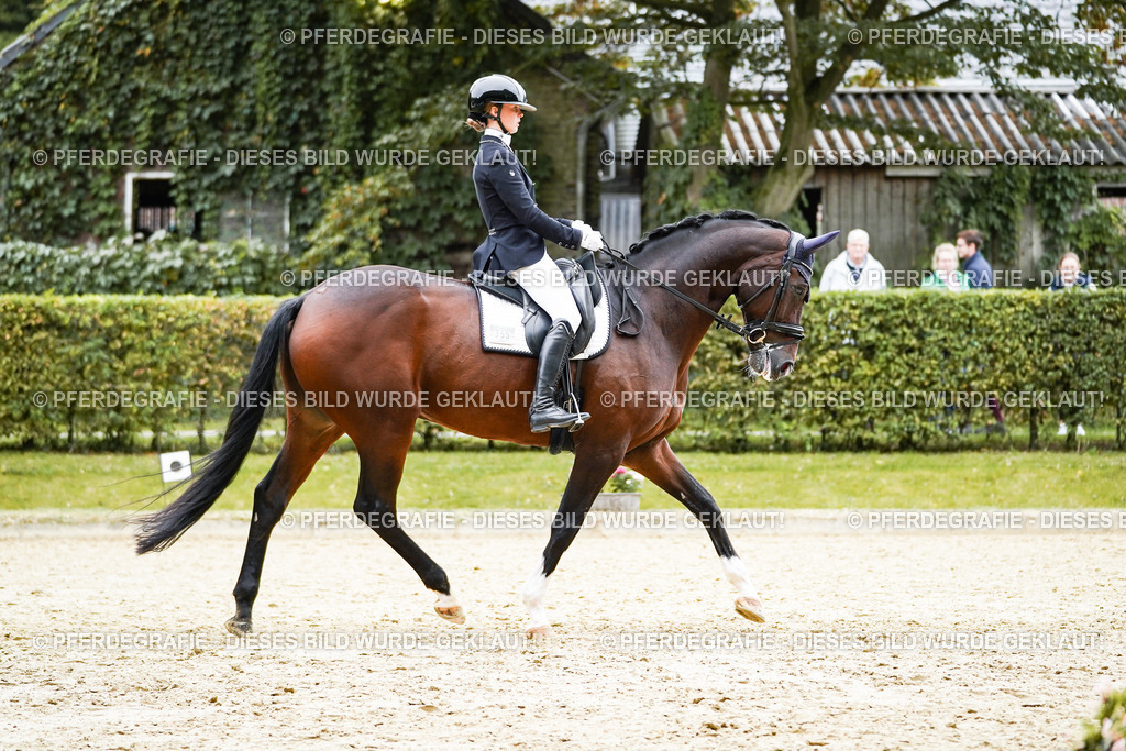 DSC01582 | Pferdegrafie