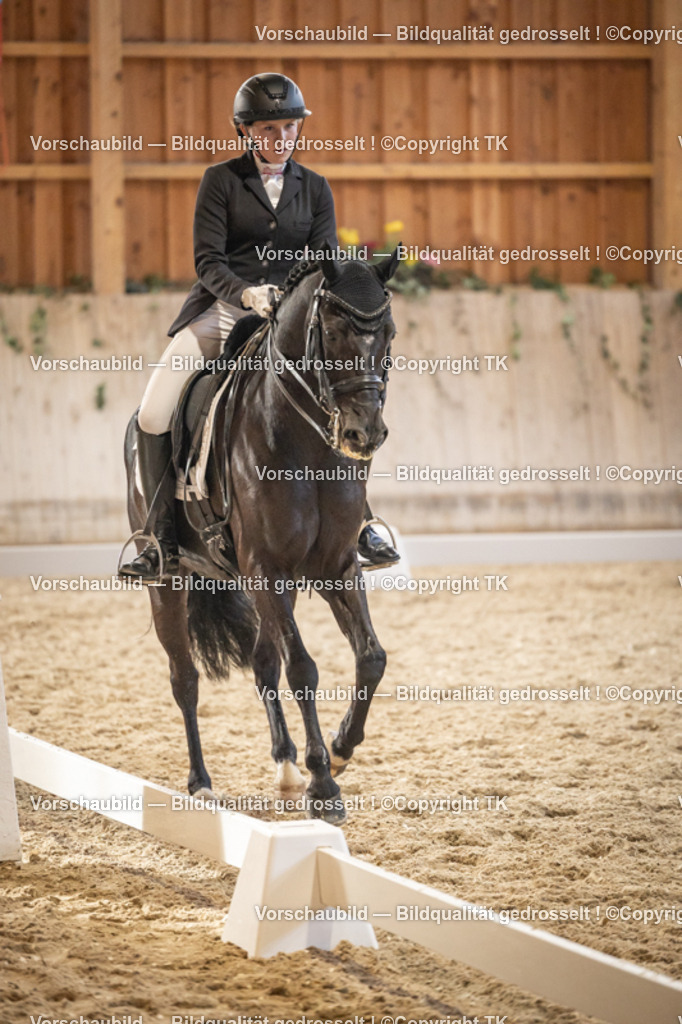 _D5A9676 | Emotionale Pferde- & People-Fotografie rund um Heidelberg, Leimen & Umgebung. Natürliche Fotos von Pferd, Mensch & Familie. Jetzt Termin sichern!