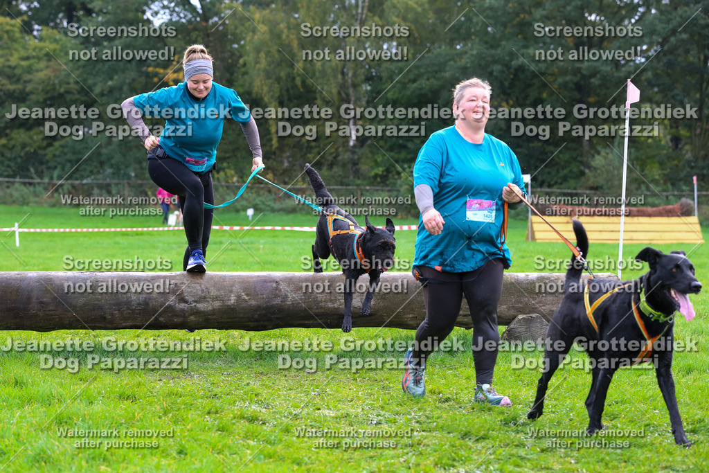 Dog Paparazzi -  SD1026-2154 | Dog Paparazzi Jeanette Grottendiek Fotografie & Videografie - Realisiert mit Pictrs.com