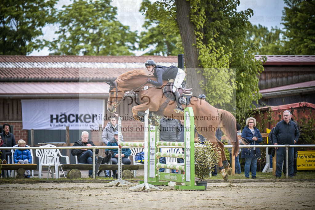 DOS_5739 | Entdecke hochwertige Reitturnierfotos von Foto Oger. Professionell, emotional und authentisch – jetzt Lieblingsmomente im Shop bestellen.Deutschlandweite Turnierfotografie. - Realisiert mit Pictrs.com