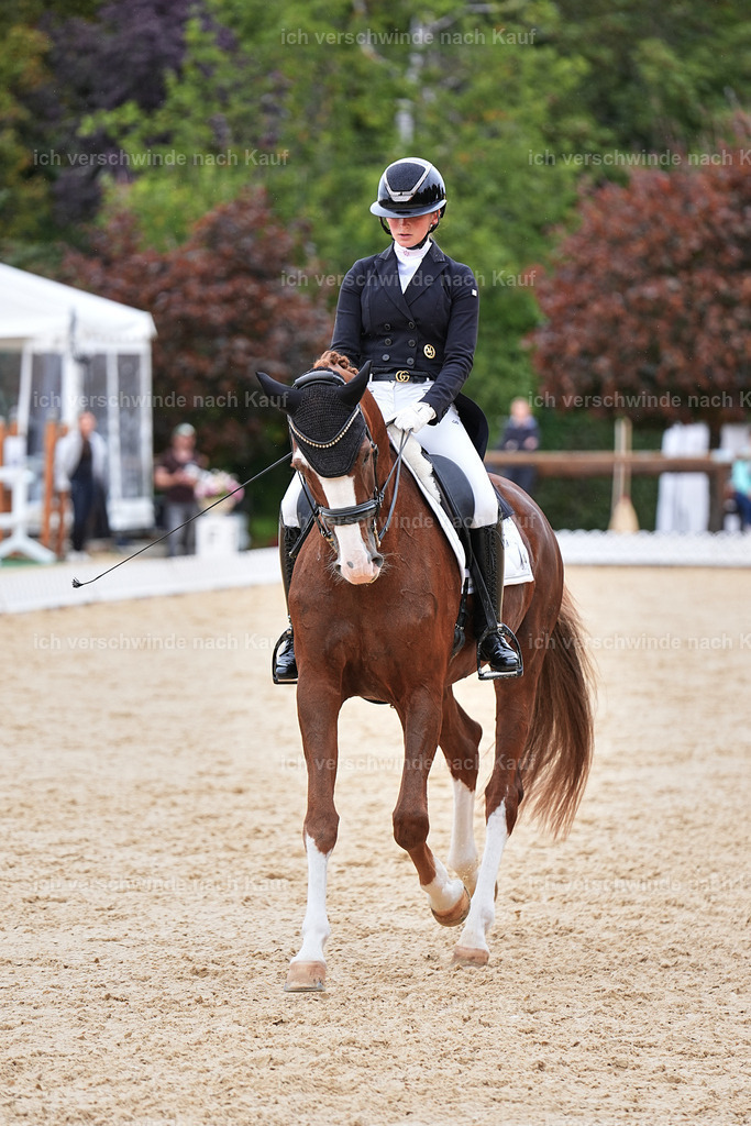 11-201-Dressur S___-Marixx-1767 | working equitationturnier fotograf videograf stoibphotography marixx film working equitation deutschland reitsport turnierfotografie eventfotografie equestrian events