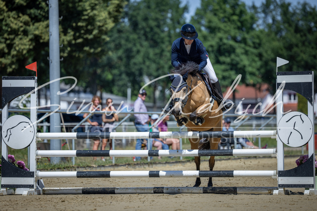 20260704-_3LI8095 | Tierfotografie Pferde, Hunde, Katzen, Haustiere.
Turnierfotografie Reitturniere, Reiten, Springreiten, Dressur in Hanau, dem Main-Kinzig-Kreis und dem Rhein-Main- Gebiet um Frankfurt