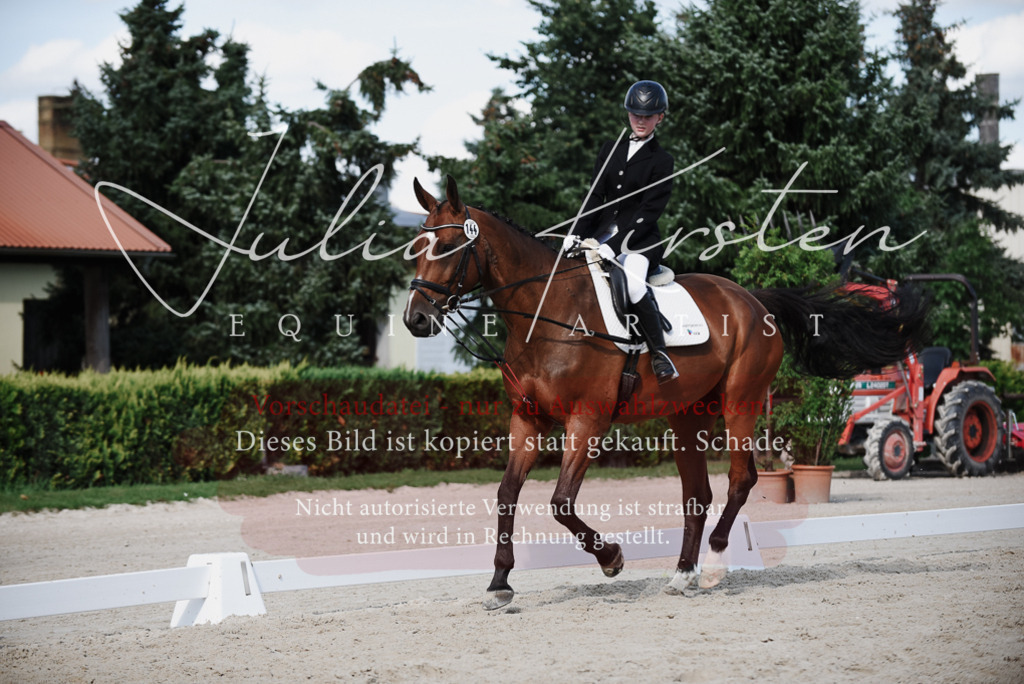 DSC_9992 | Pferde- und Turnierfotografie in Westsachsen. Pferdeportraits, Auftragszeichnungen und intuitive Kunst.