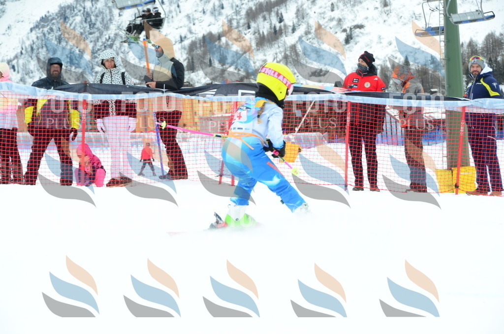 DSC_0798 | holidayphoto