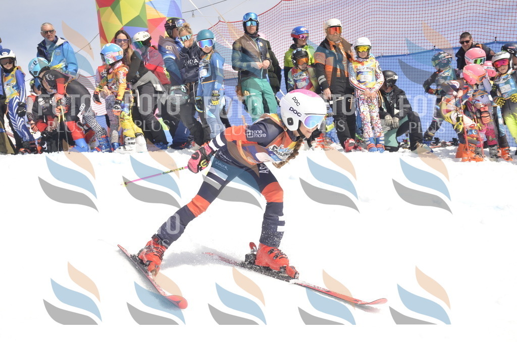 _ELE8577 | holidayphoto