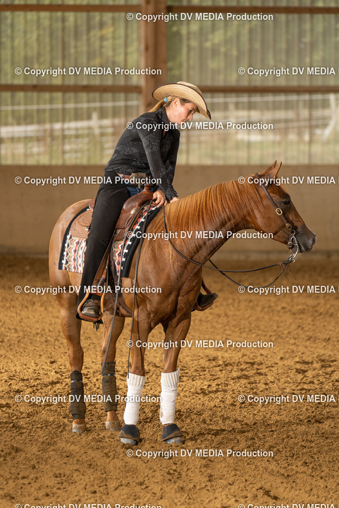 LAU01456 | dv-media-shop - Realisiert mit Pictrs.com