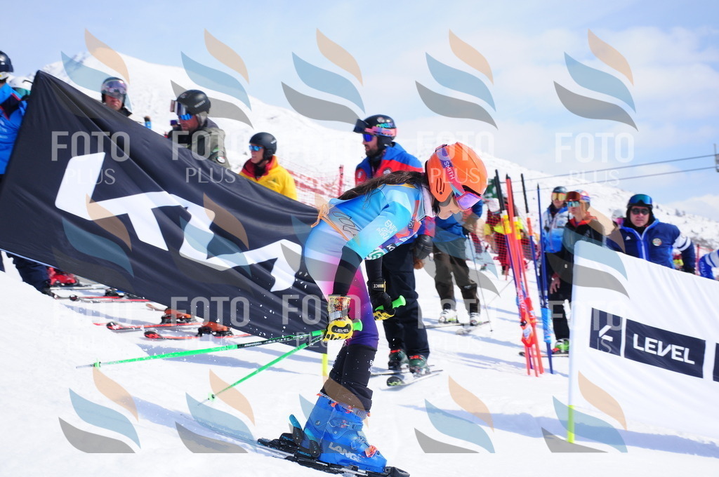 DSC_1452 | holidayphoto