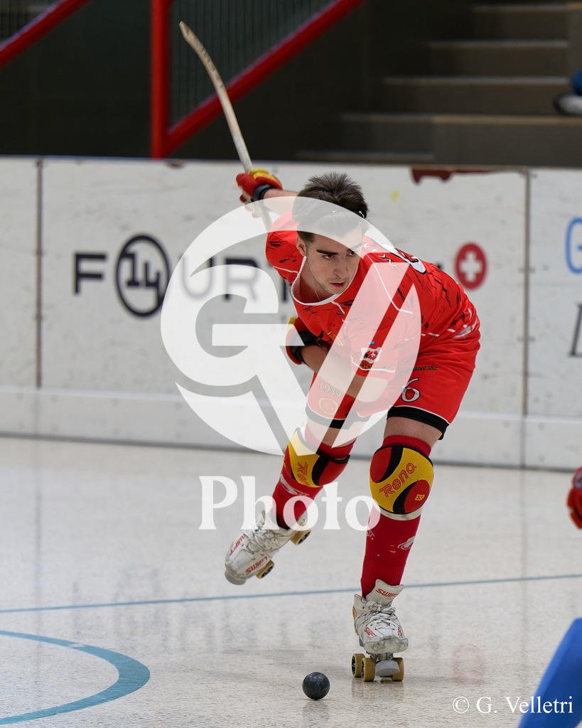 DSC_6175 | Velletri Photo