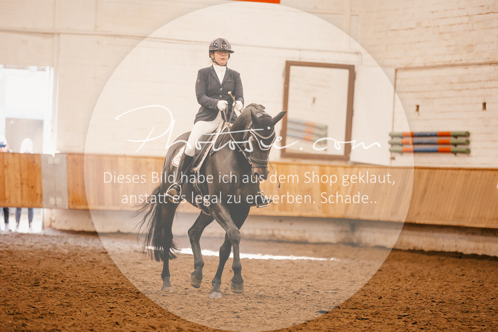 3I6A1970 | Stimmungsvolle Portraits und Reitsportfotografie im Ruhrgebiet und im Münsterland.

Pferdefotografie, Hundefotografie, Tierfotografie, Reportagen, Portraits von Tier und Mensch, Turnierfotografie in Bochum, Recklinghausen, Marl, Haltern am See, Dülmen.. - Realisiert mit Pictrs.com