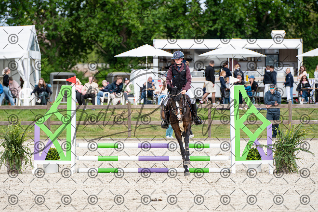 KPT_6084 | andre_photographic