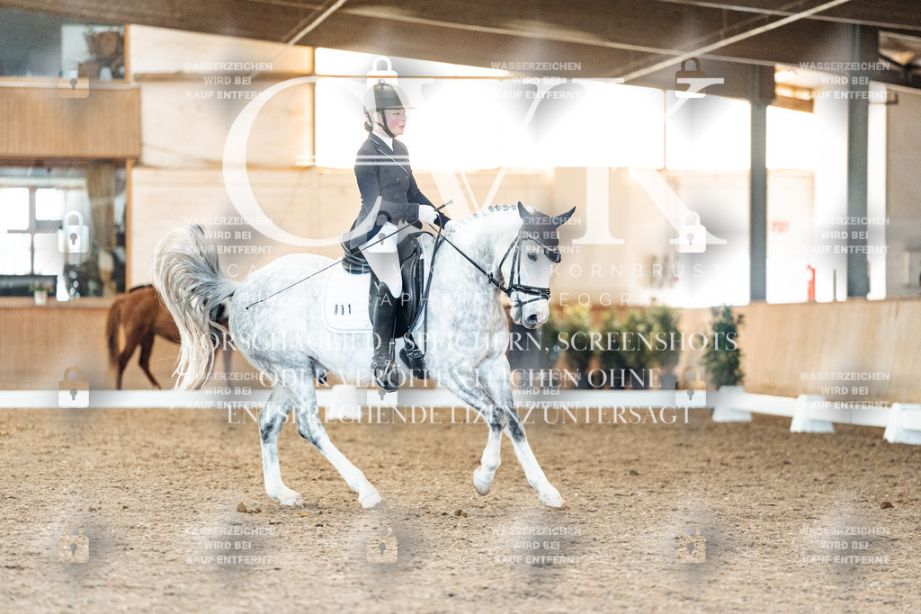CK907784 | Turnierfotografie Pferdefotografie Trier Rheinland-Pfalz Pferdesport Reitsport Tierfotografie Sportfotografie Pferdevideo Pferdevideografie Equestrianvideography equestrianphotography  - Realisiert mit Pictrs.com