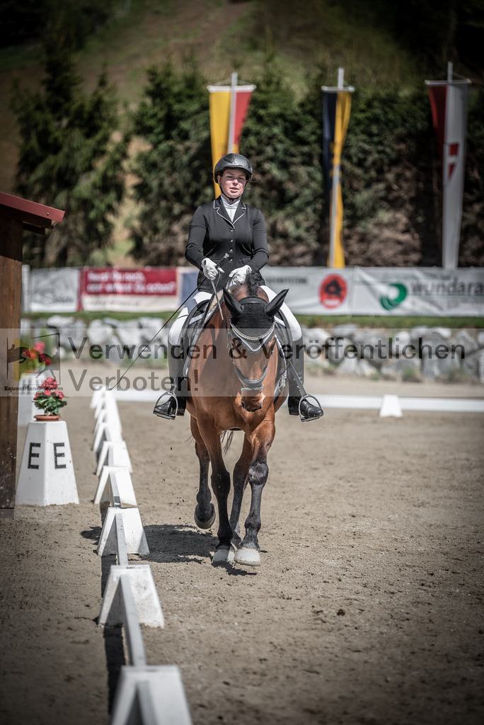 DSC_0474 | equestrian-live-com