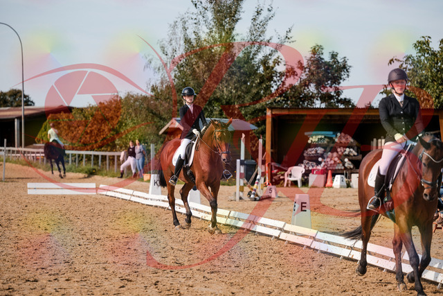 2026_10_03_Siefer-Hof_131123_Z63_74819737 | Professionelle Reitsport-, Turnier- und Eventfotografie von Robert Broda. Galerien mit ausgewählten und bearbeiteten Bildern direkt online ansehen und bestellen.