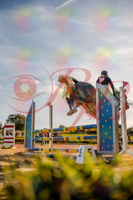 2026_10_03_Siefer-Hof_171334_Z63_21454400 | Professionelle Reitsport-, Turnier- und Eventfotografie von Robert Broda. Galerien mit ausgewählten und bearbeiteten Bildern direkt online ansehen und bestellen.