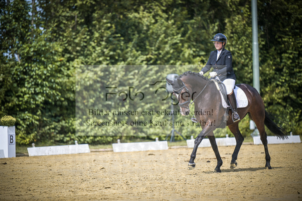 DOS_4123 | Entdecke hochwertige Reitturnierfotos von Foto Oger. Professionell, emotional und authentisch – jetzt Lieblingsmomente im Shop bestellen.Deutschlandweite Turnierfotografie. - Realisiert mit Pictrs.com