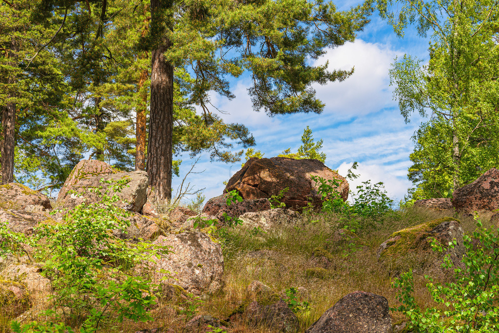 Landschaft mit Felsen und Bäumen bei Figeholm in Schweden | Landschaft mit Felsen und Bäumen bei Figeholm in Schweden.